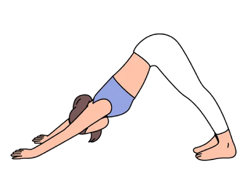 سگ سر به پایین (Adho Mukha Svanasana)