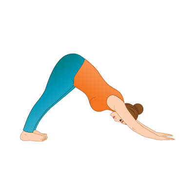 حرکت سگ سرپایین (Adho Mukha Svanasana)