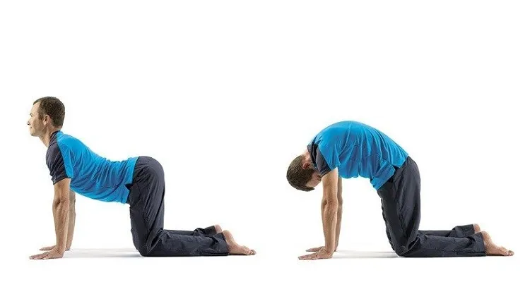 10. حرکت گاو و گربه (Marjaryasana-Bitilasana)